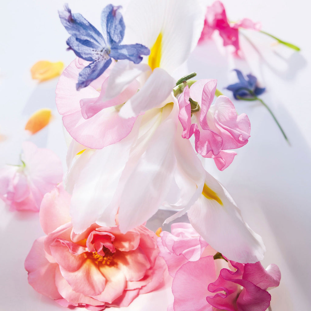 Dior Miss Dior Eau de Parfum Mini Miss