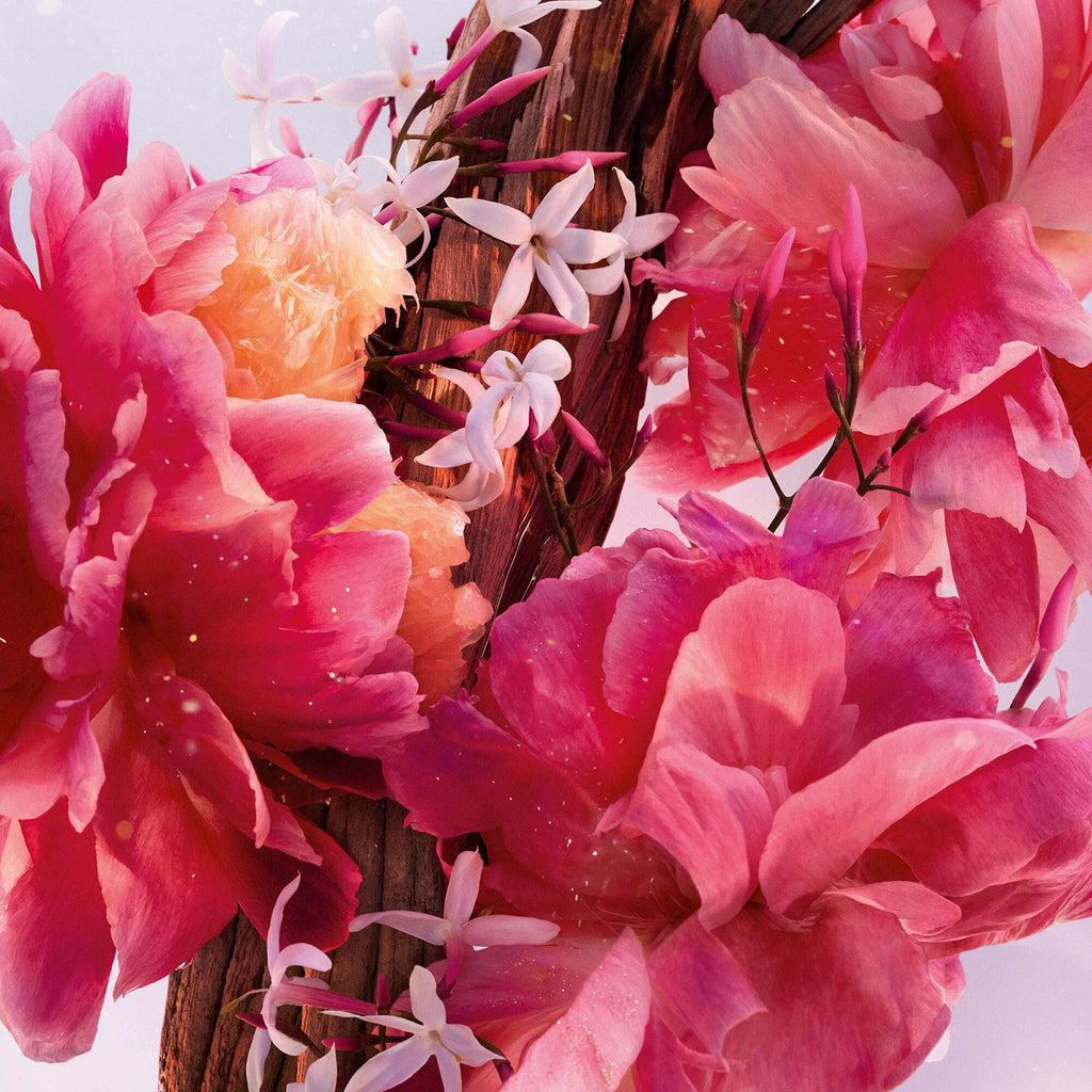 Dior Miss Dior Parfum Mini Miss