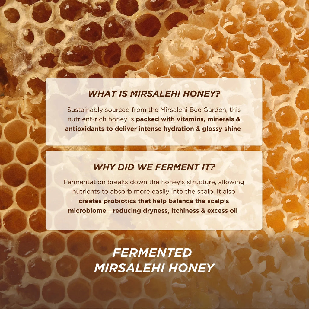 Gisou Honey Gloss Ceramide Therapy Hydrating Conditioner