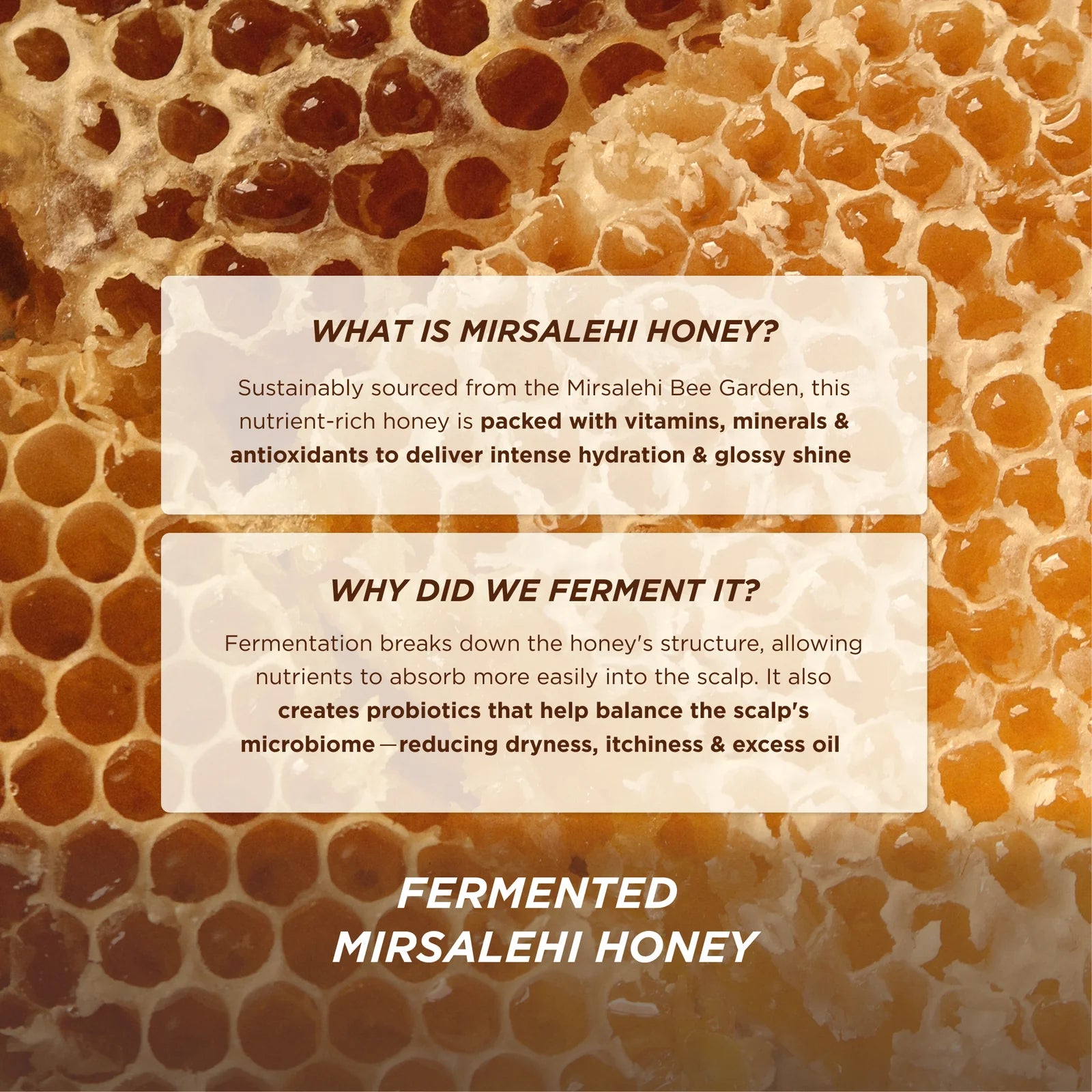 Gisou Honey Gloss Ceramide Therapy Hydrating Conditioner