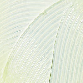 Kiehl’s Lip Balm #1