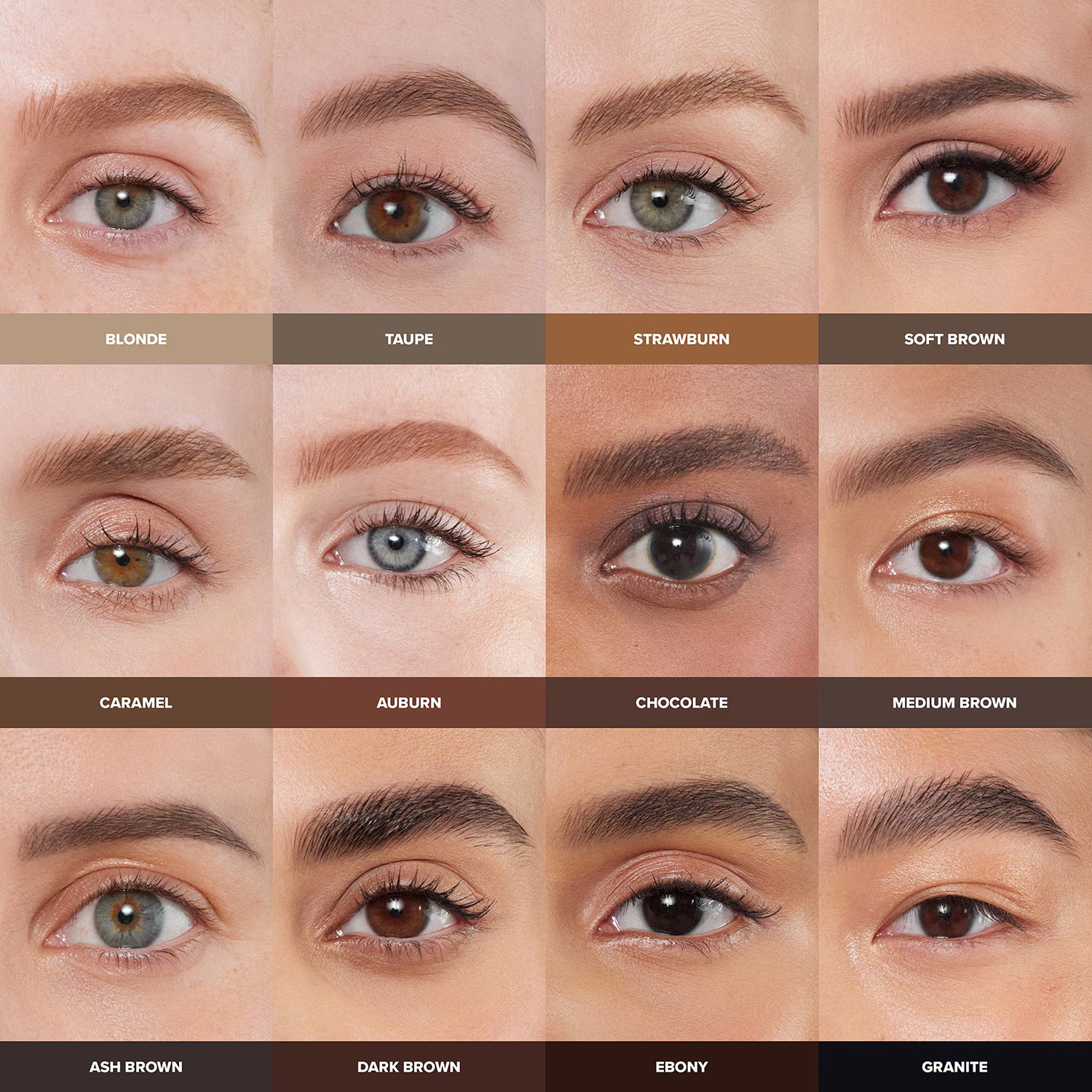 Anastasia Beverly Hills Brow Wiz