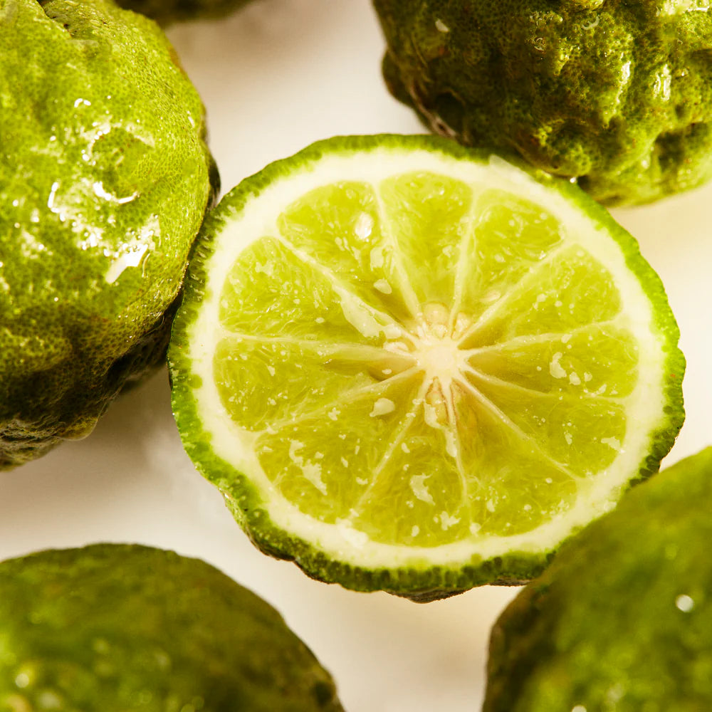 Kayali Vacay in a Bottle Maldives in a Bottle Ylang Coco | 20