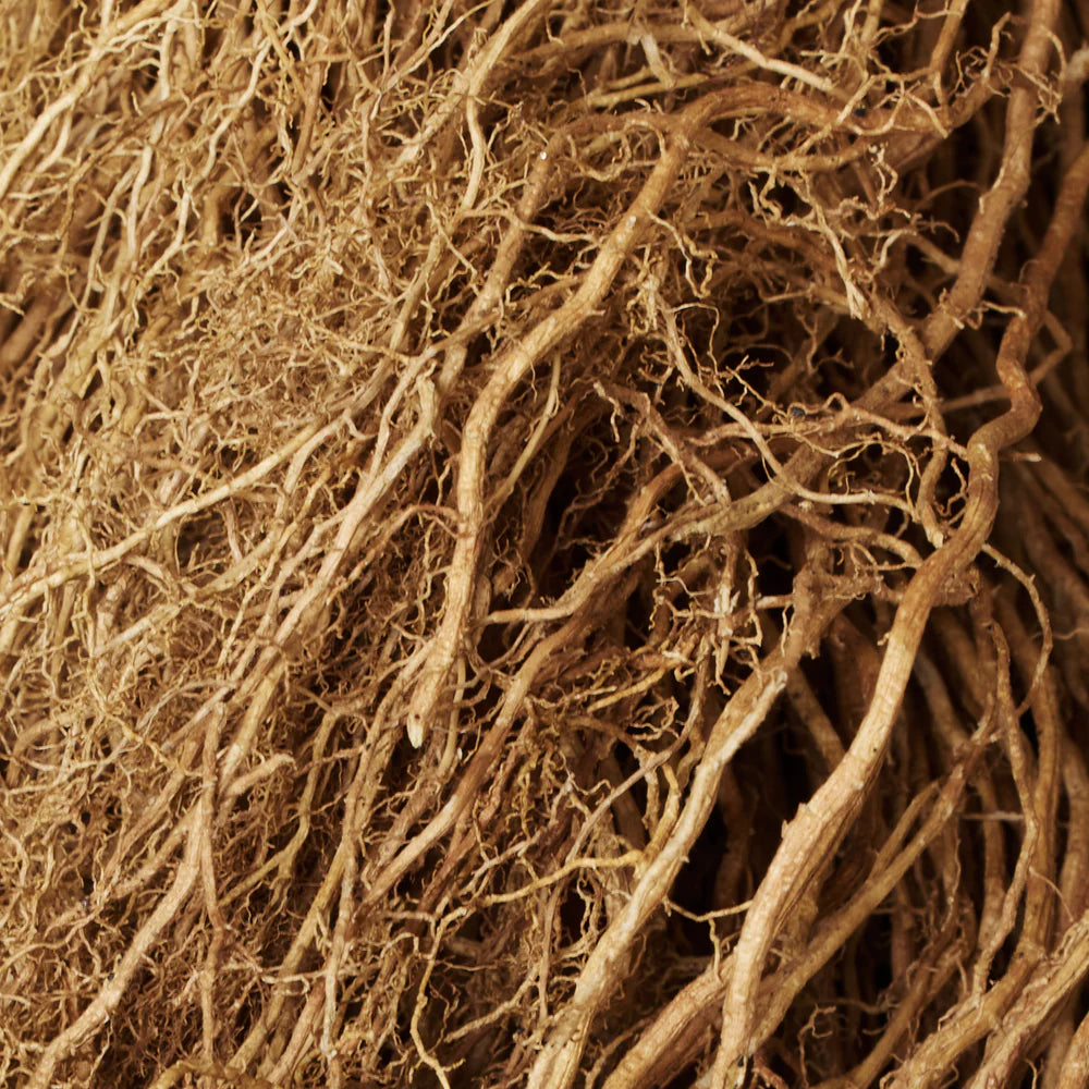 Kayali Dapper Daddy Saffron Oud