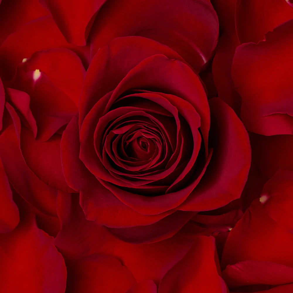 Kayali Dapper Daddy Saffron Oud