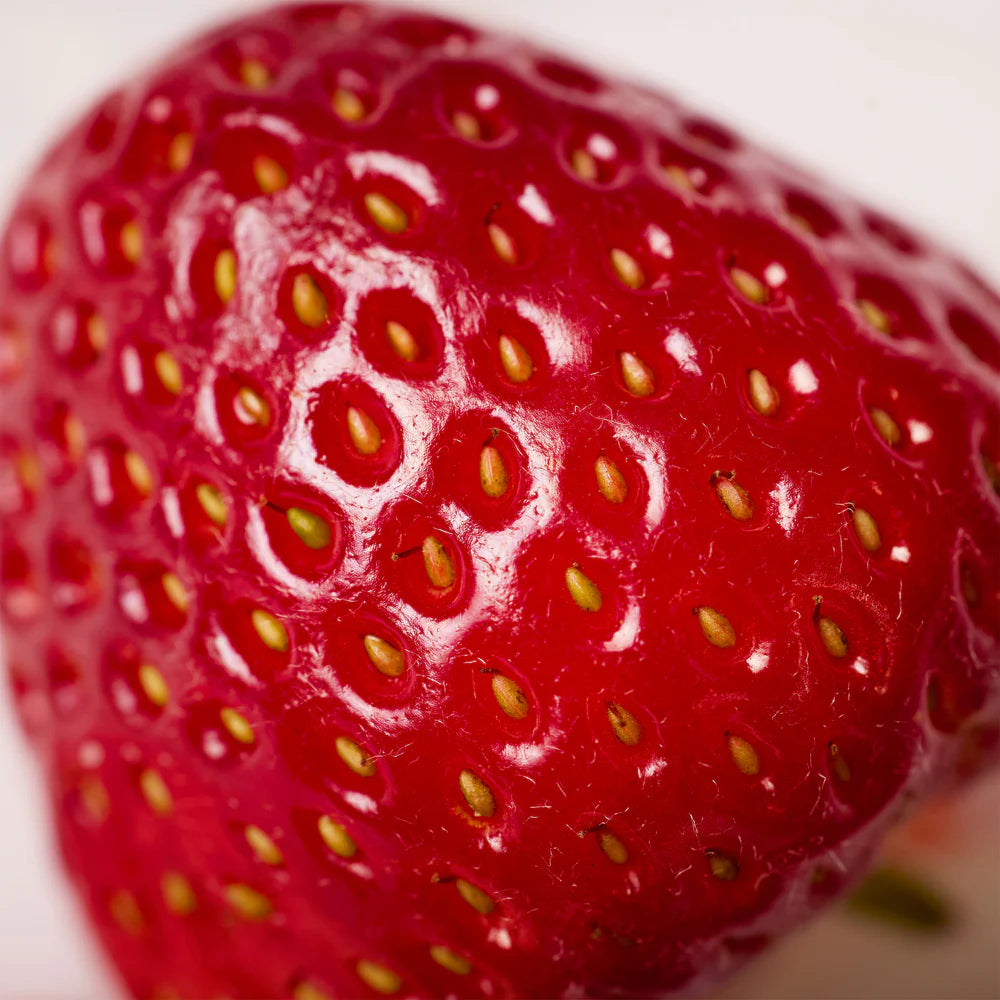 Kayali Oudgasm Milky Musk Oud | 30