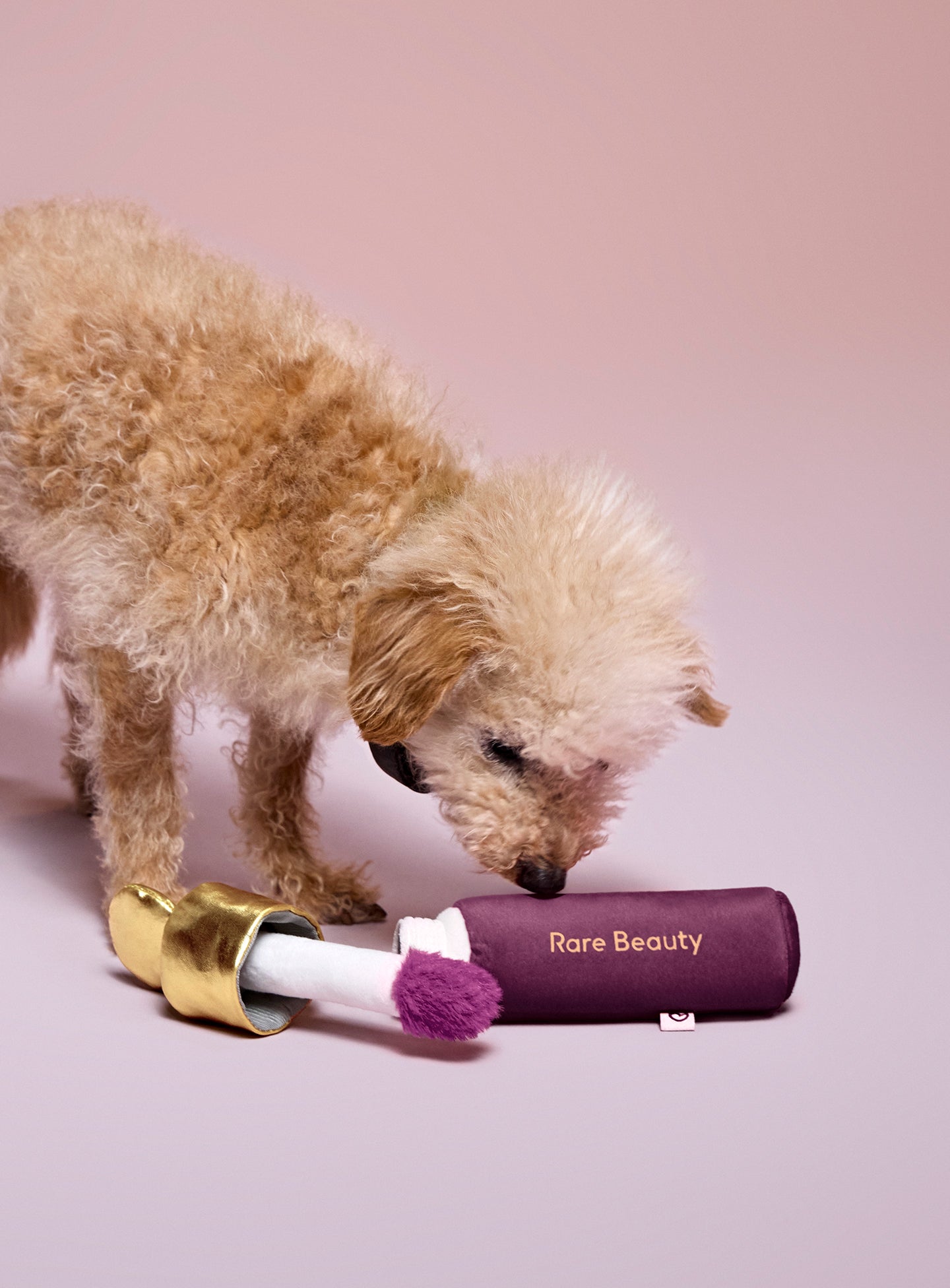Rare Beauty Soft Pooch Blush Dog Toy (Faith)