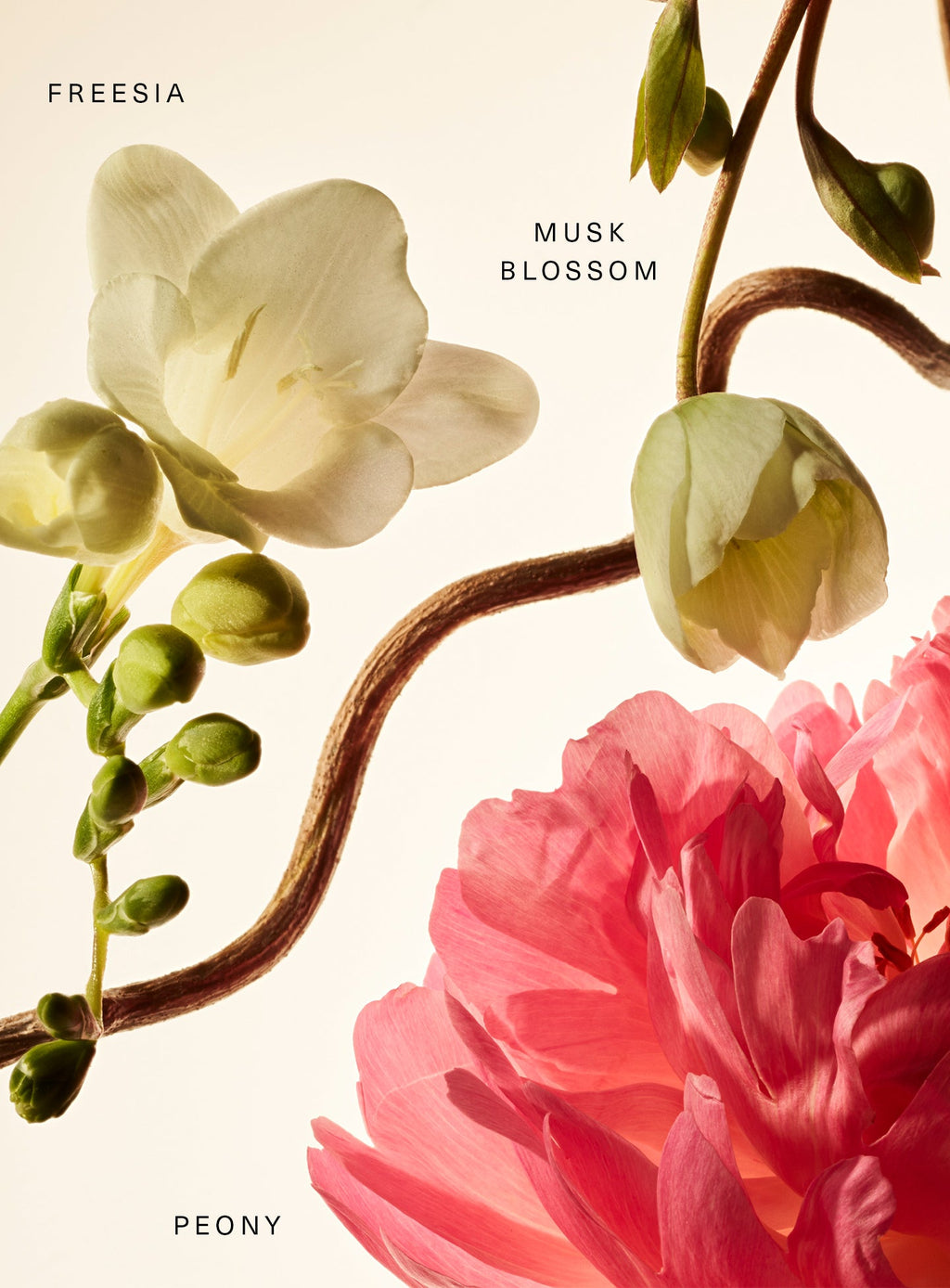 Rare Beauty Fragrance Layering Balm – Floral Peony Blossom