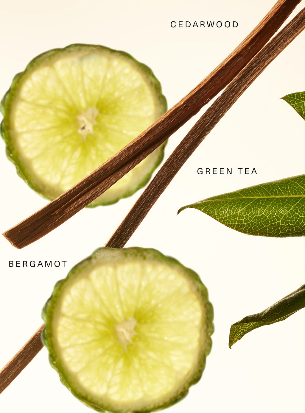 Rare Beauty Fragrance Layering Balm – Fresh Bergamot