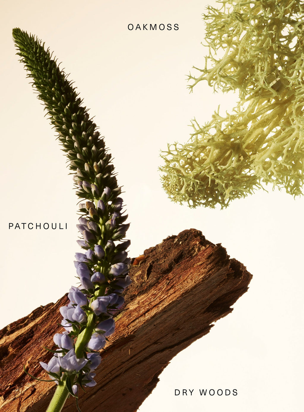 Rare Beauty Fragrance Layering Balm – Woody Oak