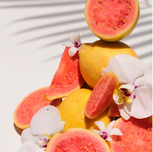 Sol de Janeiro Cheirosa 48 Perfume Mist