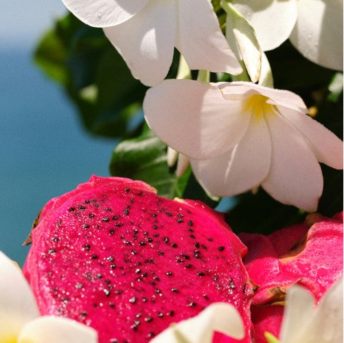 Sol de Janeiro Brazilian Crush Cheirosa 68