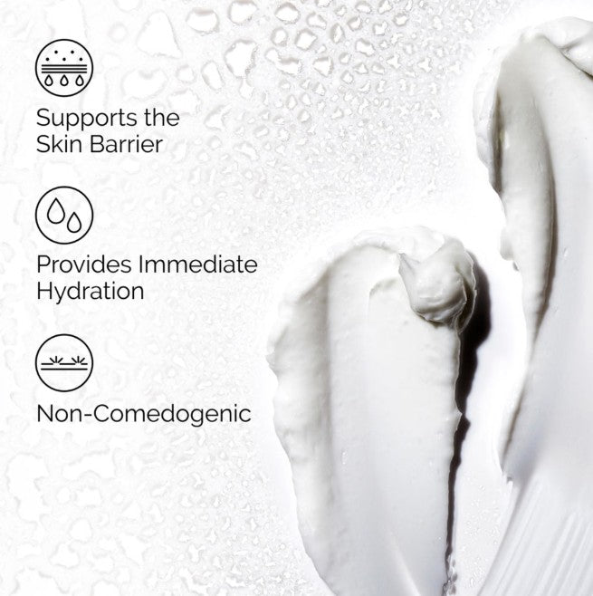 The Ordinary Obični prirodni hidratantni faktori + HA