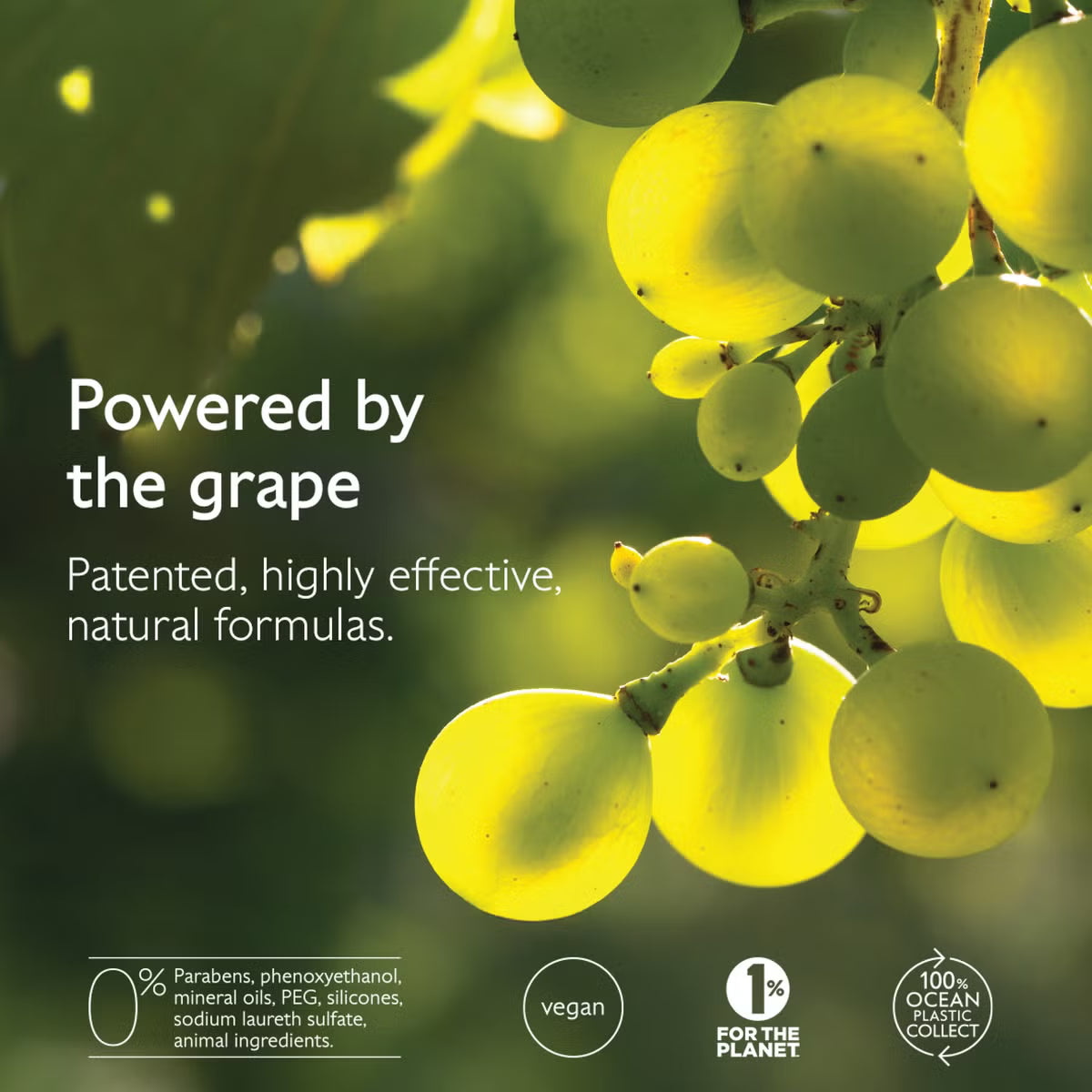 Caudalie Premier Cru The Eye Cream